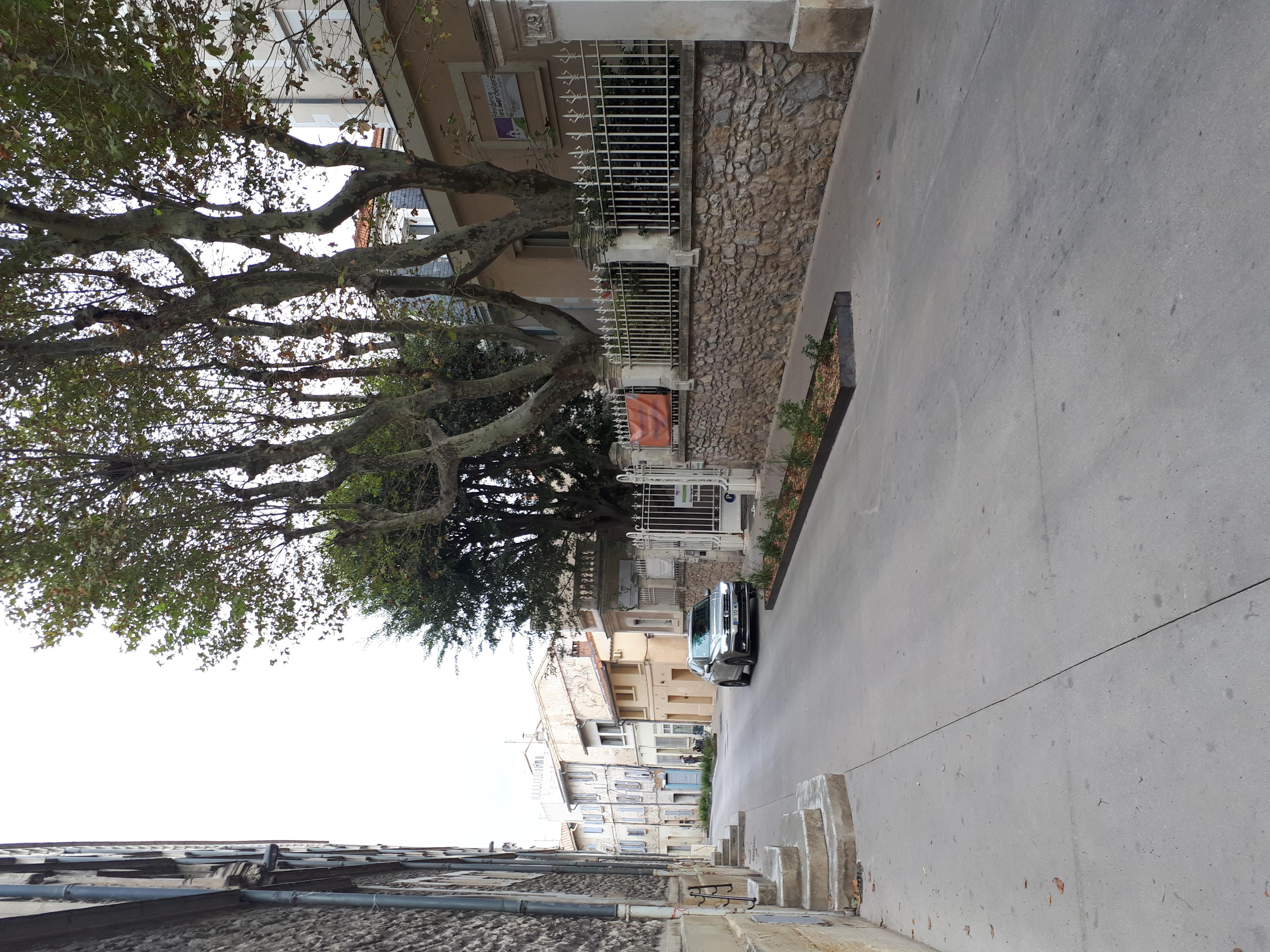 Residence Les Cordeliers Avinyon Dış mekan fotoğraf